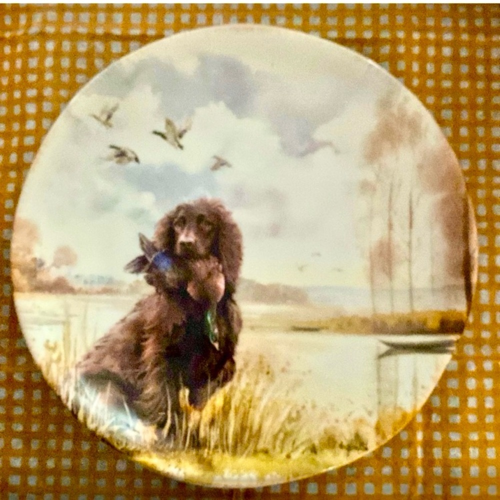Southern Living English Spaniel Dog Bird Duck Accent Salad Plate 8.37in.